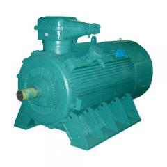高压YB3隔爆型三相异步电动机（6000V/10000V，机座号355-560，185kW-2240kW，2P-12P，F级，ExdIMb/ExdIIBT4/ExdIICT4，IP55，2级能效）