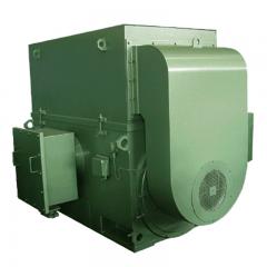 高压YAKK/YAKS 增安型三相异步电动机（6000V/10000V，中心高355-630，200kW-4000kW，2P-20P，F级，ExeIIT3，IP55）