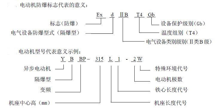 YBBP 系列隔爆型變頻三相異步電動(dòng)機(jī)（機(jī)座號(hào)80～560）(圖1)